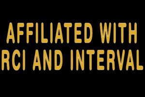 9BF0E7A9-EE3E-4FDC-AA8B-35B091AA5E25